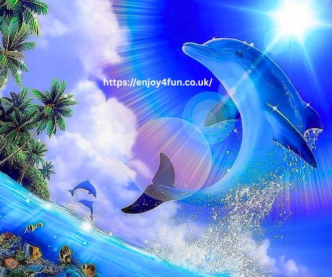 Dolphin Olympics The Ultimate Guide to the Splashing Sensation