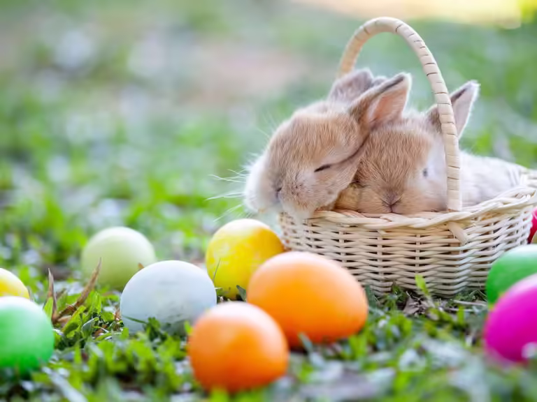 Wann ist Ostern? Alles, was du über das Datum und seine Bedeutung wissen musst